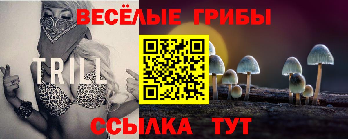 Галлюциногенные грибы Magic Shrooms  Вход с VPN  Киселёвск 